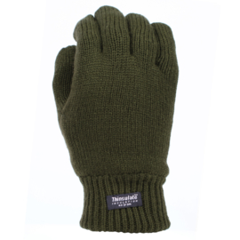 Handschoenen met warme Thinsulate voering - Groen
