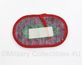 Us Army Oval Wing 10th The Special Forces voor op de borst voor onder de parawing  - Naoorlogs - 6 x 3,5 cm - origineel