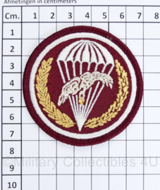 Pools 6th Airborne Division 1957-2002  embleem  - origineel