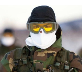 Bril scherfwerend Cpl M2009 compleet Revision Desert locust - kleur grijs / Foliage -  nieuw in verpakking - origineel