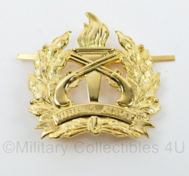 Surinaamse Politie korps insigne goud - Viribus Audax - 7 x 6 cm - origineel