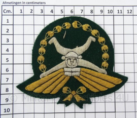 Onbekend parawing embleem - donkergroen - 12 x 10 cm - origineel