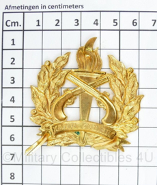 Surinaamse Politie speld Viribus Audax goudkleurig - 6 x 5,5 cm - origineel