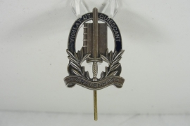 Gemeentepolitie pinbrevet embleem MET lange PIN - Den Haag 's-Gravenhage -  origineel