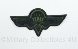 US Rigger Parawing embleem - 8,5 x  4 cm. - origineel