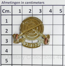 Ierse Army Infantry Coisite badge - 3 x 3,5 cm - origineel