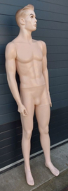 Mannelijke paspop heren mannequin - 192 cm lang