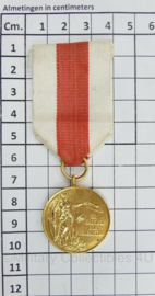 Poolse leger Merit Voluntary Fire Brigades Association medaille - 10 x 4 cm - origineel
