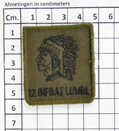 KL Nederlandse leger 12 INFBAT LUMBL 12 Infanteriebataljon Luchtmobiel Regiment infanterie van Heutsz borstembleem - met klittenband - 5 x 5 cm - origineel