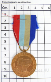 Nigeriaanse medaille National Service Medal 1966-1970 - met lint - afmeting 3 x 9 cm - origineel