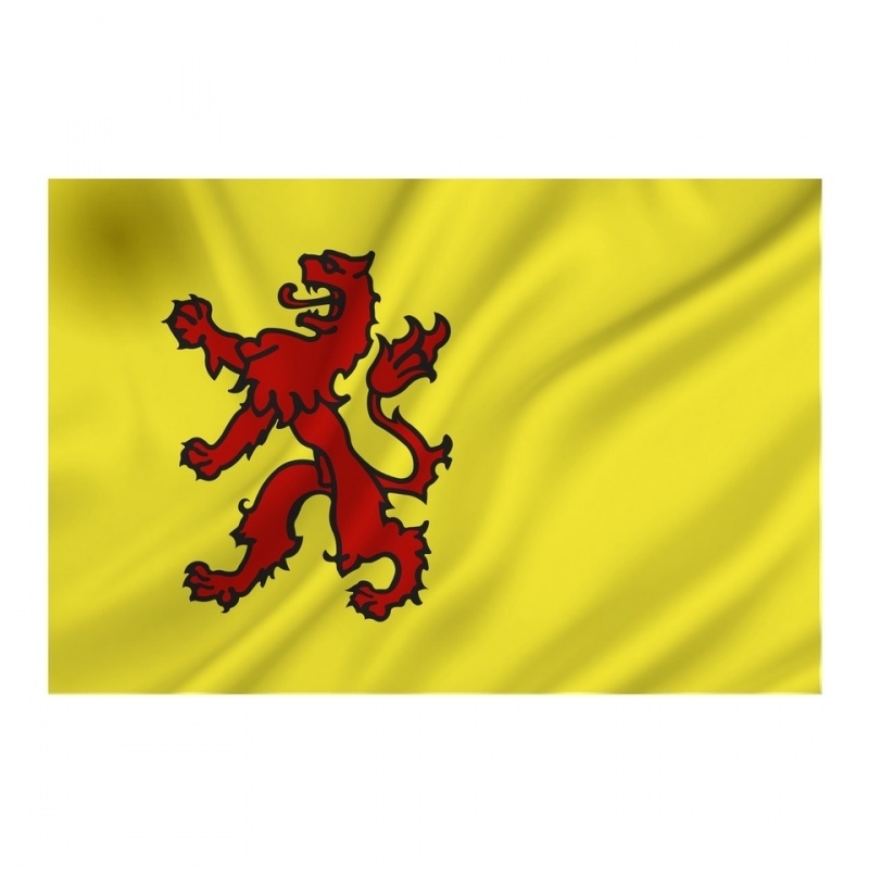 Mars Wissen Ambitieus Provincie vlag Zuid-Holland - Polyester - 1 x 1,5 meter | Vlaggen |  Military Collectibles 4U