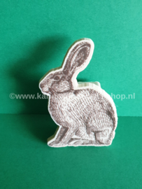 Puntenslijper Bunny