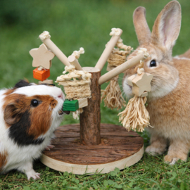 Quapas! Activity Tree