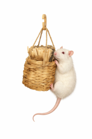 Quapas! Snuffelzak Waterhyacint - knaag speelgoed