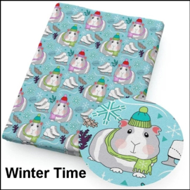 Cavia Wintertime