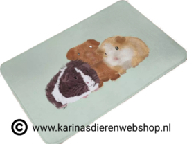 Deurmat Badkamer Mat Tapijt Cavia's 3