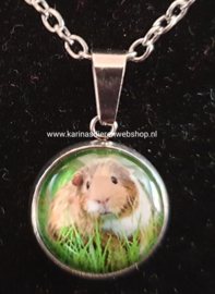 Ketting met hanger Cavia in gras