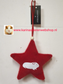 Ornament Ster Cavia rood