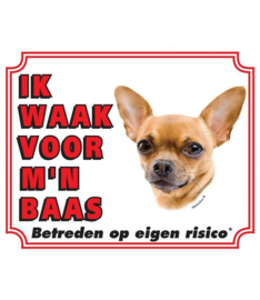 ik waak voor mijn baas Chihuahua full color