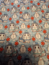 Cavia & Sneeuwpop