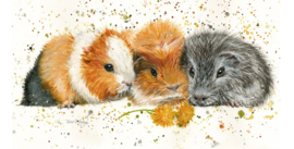 Mok Cavia's " Snap, Crackle & Pop " van Bree Merryn