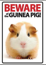 Beware of the Guinea Pig ! Metalen Waakbord 20 x 30 cm