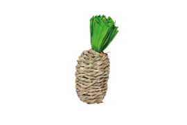Quapas! Hibiscus woven pineapple S - ananas