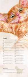 Katten verjaardagskalender