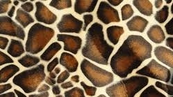 Hangmat  "knaagdier"  XL .... Velboa dieren print Giraffe