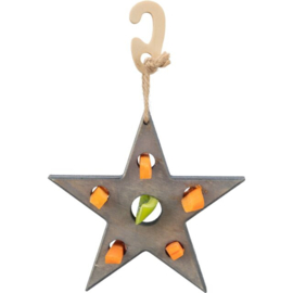 Kerst Snack Ster