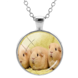 Ketting met hanger Cavia