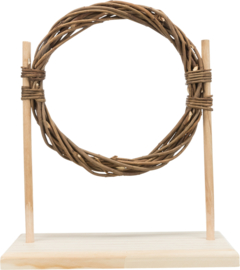 Behendigheidsset / Agility-set met horde en ring