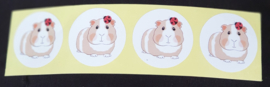 Sticker Cavia Lieveheersbeestje 4 stuks