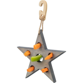 Kerst Snack Ster