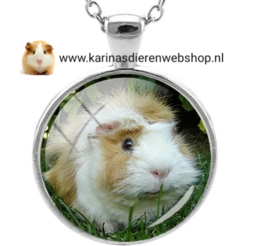 Ketting met hanger Cavia