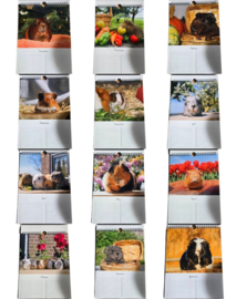 Verjaardagskalender Cavia