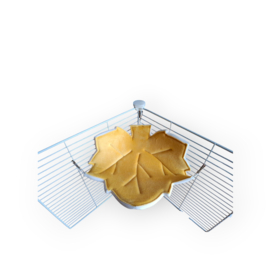 Hangmat Herfstblad