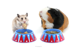 HayPigs!® Junior Food Tamer™ - Mini Food Bowl | mini voerbak Circus OP=OP