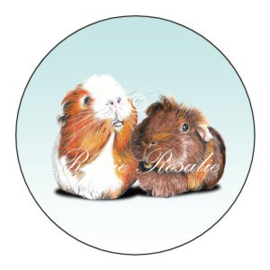 Sticker Cavia's Olivia & Muffin ( 4 stuks) 