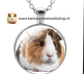 Ketting met hanger Cavia