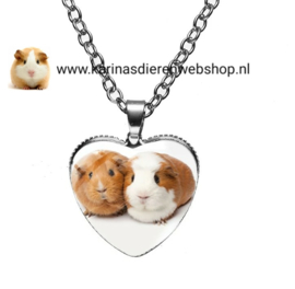 Ketting met hanger hartvormig Cavia