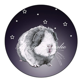 Sticker/ sluitzegel cavia Sterretje ( 4 stuks) 