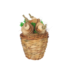 Quapas! Flower Pot - knaag speelgoed