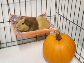 Hangmat  "knaagdier"  XL .... Cavia  Print Halloween