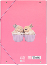 Studio Pets Rabbits elasto-/foldermap