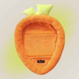 Carrot Bed