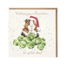 Kerstkaart Cavia "Sprouts" Wrendale Designs