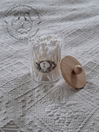 Apotheker Potje CAVIA 3