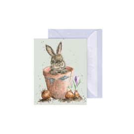 mini card konijnen  " Flower Pot " - Wrendale Designs