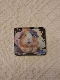 Reis spiegel zak spiegel  Cavia